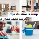 شركات تنظيف المنازل في ابوظبي