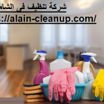 شركة تنظيف في الشامخة ابوظبي