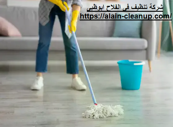 شركة تنظيف في الفلاح ابوظبي