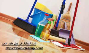 شركة تنظيف في جبل حفيت العين 