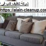شركة تنظيف كنب فى ابوظبي
