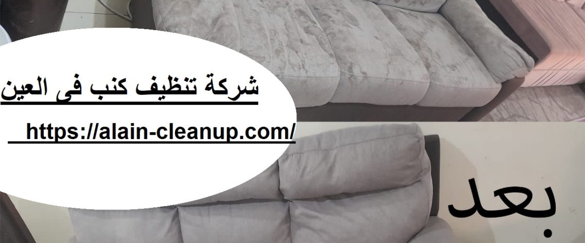شركة تنظيف كنب فى العين