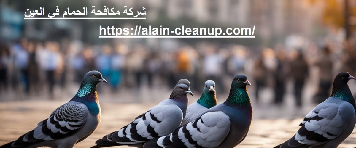 شركة مكافحة الحمام في العين