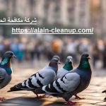 شركة مكافحة الحمام في العين