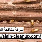 شركة مكافحة الرمة في ابوظبي