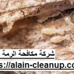 شركة مكافحة الرمة في العين