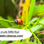 شركة مكافحة حشرات في ابوظبي