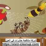 شركة مكافحة حشرات في العين