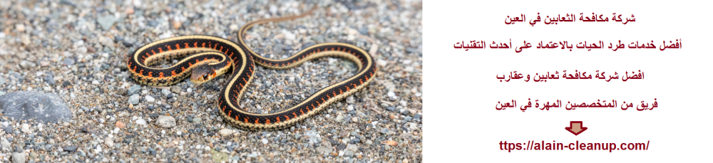 شركة مكافحة الثعابين في العين