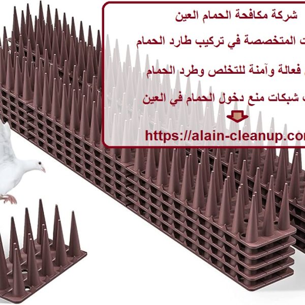 شركة مكافحة الحمام العين