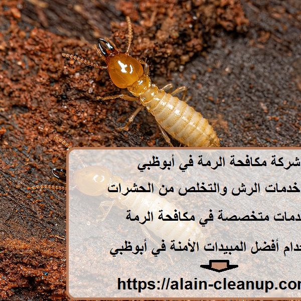 شركة مكافحة الرمة في أبوظبي