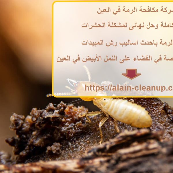 شركة مكافحة الرمة في العين