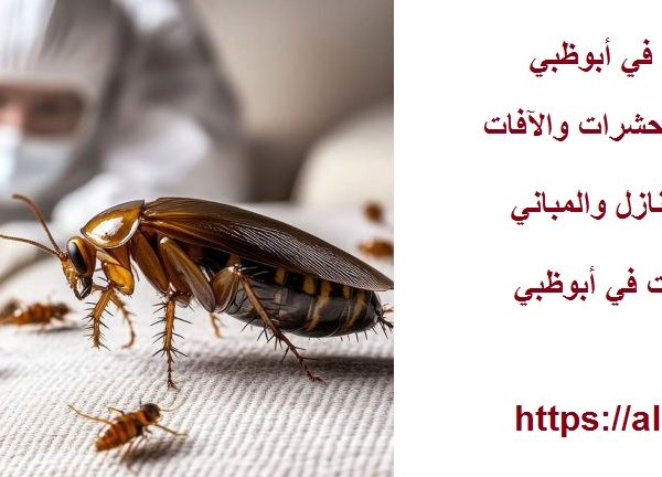 شركة مكافحة الصراصير في أبوظبي