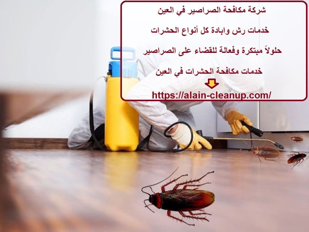 شركة مكافحة الصراصير في العين