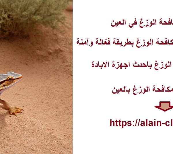 شركة مكافحة الوزغ في العين