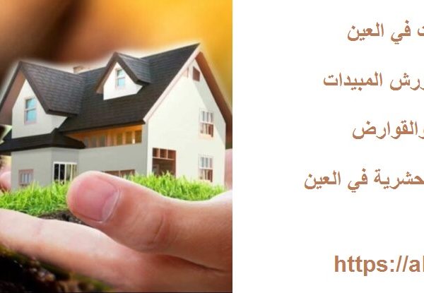 شركة مكافحة حشرات في العين