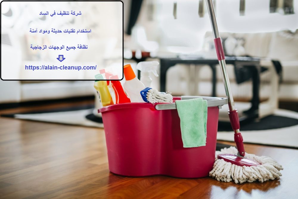 شركة تنظيف في الساد