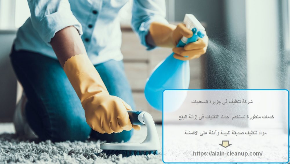 شركة تنظيف في جزيرة السعديات